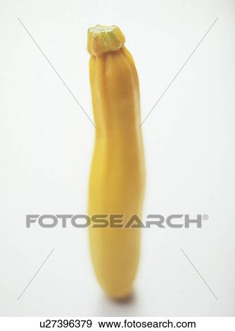 Stock Photo - Yellow Zucchini. Fotosearch