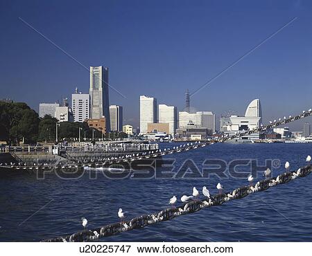 Yokohama Minatomirai, Kanagawa Prefecture, Honshu, Japan View Large Photo Image Stock Photo - Yokohama Minatomirai, Kanagawa Prefecture, Honshu, Japan. Fotosearch