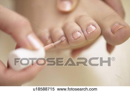 Young woman polishing toenails, close up View Large Photo Image Stock Photography - Young woman polishing toenails, close up. Fotosearch