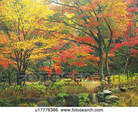 Stock Photo - A stream surrounded by Autumn colours, Shizuoka Prefecture, Japan. Fotosearch