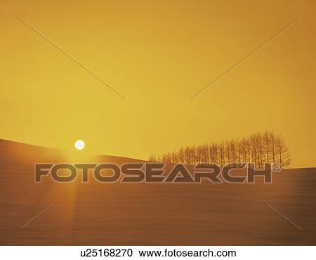 A view of a field during sunset in Hokkaido, Japan View Large Photo Image Stock Image - A view of a field during sunset in Hokkaido, Japan. Fotosearch