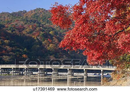 Stock Photo - Autumn foliage beside a river, Togetsu-Kyo, Kyoto, Japan. Fotosearch