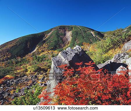 Stock Image - Autumn foliage in front of Mt. Norikura, Nagano Prefecture, Japan. Fotosearch