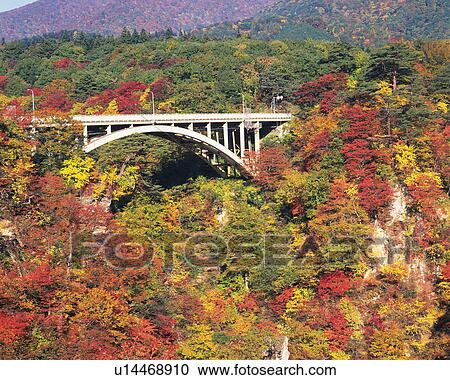 Autumn foliage surrounding a bridge View Large Photo Image Stock Image - Autumn foliage surrounding a bridge. Fotosearch