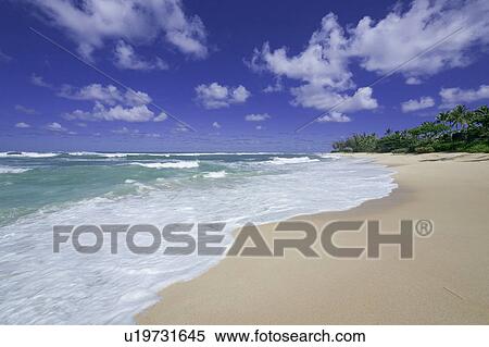 Stock Photography - Beach in Oahu, Hawaii, USA. Fotosearch