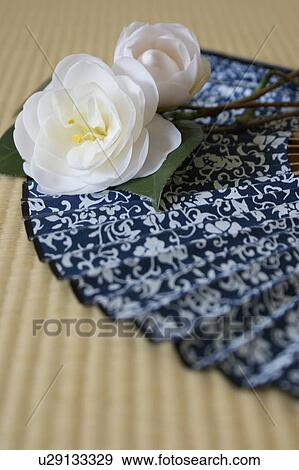 Stock Photo - Camellias lying on top of a Japanese folding fan. Fotosearch