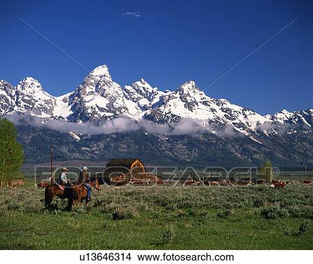 Cowboys riding horses in Grand Teton National Park, Wyoming, USA View Large Photo Image Picture - Cowboys riding horses in Grand Teton National Park, Wyoming, USA. Fotosearch