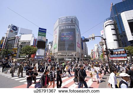 Crosswalk outside Shibuya station, Shibuya-ku, Tokyo, Japan View Large Photo Image Stock Photo - Crosswalk outside Shibuya station, Shibuya-ku, Tokyo, Japan. Fotosearch