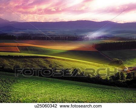 Farmland at sunset in Biei-Machi, Hokkaido, Japan View Large Photo Image Stock Image - Farmland at sunset in Biei-Machi, Hokkaido, Japan. Fotosearch