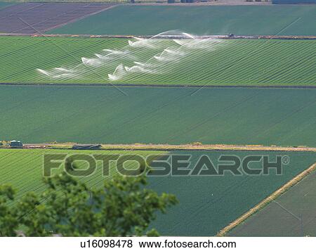 Farmland being watered by sprinklers View Large Photo Image Stock Photo - Farmland being watered by sprinklers. Fotosearch