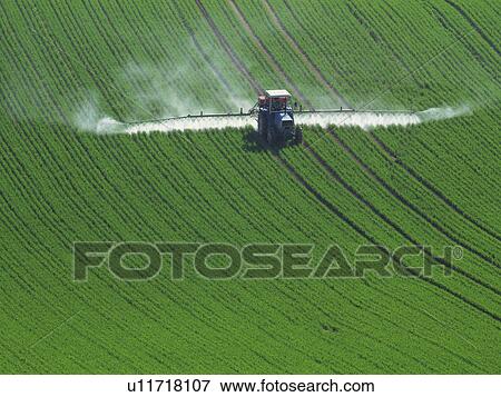Stock Photo - Field of crops being watered by tractor. Fotosearch