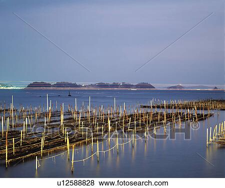 Fishing port in the Hiroshima Prefecture, Japan View Large Photo Image Stock Photo - Fishing port in the Hiroshima Prefecture, Japan. Fotosearch