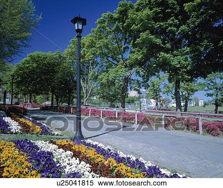 Flower garden beside footpath, Motoizaka, Hokkaido Japan View Large Photo Image Stock Photography - Flower garden beside footpath, Motoizaka, Hokkaido Japan. Fotosearch