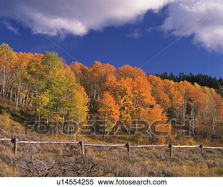 Stock Photography - Grand Teton national park in autumn, Wyoming, USA. Fotosearch