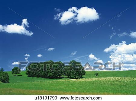 Grassy field in Germany View Large Photo Image Stock Photo - Grassy field in Germany. Fotosearch