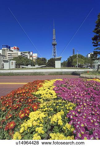 Hisaya Odori Park and the Nagoya television tower View Large Photo Image Stock Photo - Hisaya Odori Park and the Nagoya television tower. Fotosearch