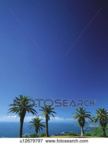Horikiri peak and palm trees by the sea, Miyazaki Prefecture, Japan View Large Photo Image Stock Photo - Horikiri peak and palm trees by the sea, Miyazaki Prefecture, Japan. Fotosearch