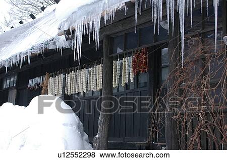 Icicles forming in Semboku, Akita, Japan View Large Photo Image Stock Photo - Icicles forming in Semboku, Akita, Japan. Fotosearch