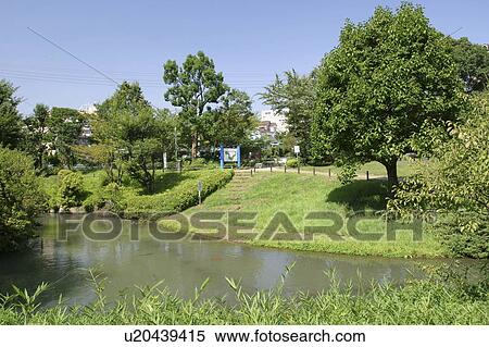 Stock Photography - Katabiragawa water park, Yokohama, Kanagawa Prefecture, Japan. Fotosearch
