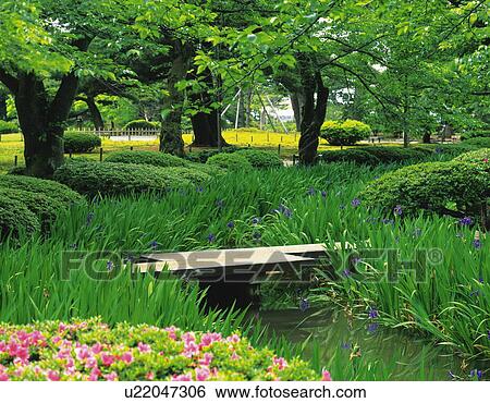 Kenrokuen Garden View Large Photo Image Stock Photograph - Kenrokuen Garden. Fotosearch