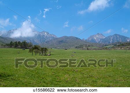 Kiyosato Plateau, Yamanashi Prefecture, Japan View Large Photo Image Stock Image - Kiyosato Plateau, Yamanashi Prefecture, Japan. Fotosearch