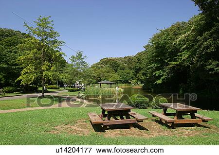 Kuraki Park, Konan-ku, Yokohama, Kanagawa Prefecture, Japan View Large Photo Image Stock Photo - Kuraki Park, Konan-ku, Yokohama, Kanagawa Prefecture, Japan. Fotosearch