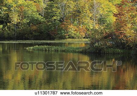 Lake and Autumn foliage, Jizo-numa, Yamagata Prefecture, Japan View Large Photo Image Stock Photo - Lake and Autumn foliage, Jizo-numa, Yamagata Prefecture, Japan. Fotosearch
