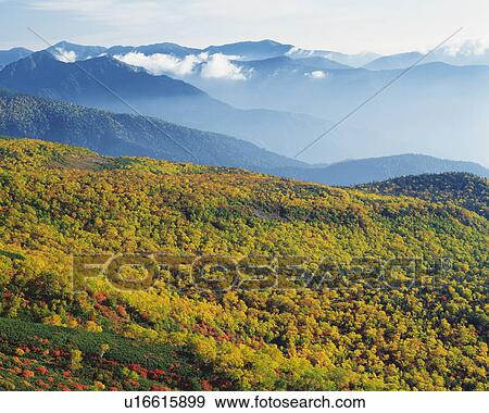 Mountain range and autumn foliage View Large Photo Image Stock Photo - Mountain range and autumn foliage. Fotosearch