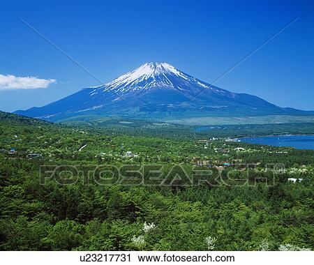 Stock Image - Mt. Fuji, Japan. Fotosearch
