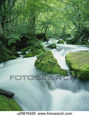 Stock Photograph - Oirase River, Aomori Prefecture, Japan. Fotosearch