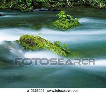 Oirase River, Towada, Aomori View Large Photo Image Stock Image - Oirase River, Towada, Aomori. Fotosearch