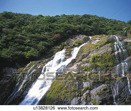 Okawa Waterfall, Yaku Islands, Kagoshima Prefecture, Japan View Large Photo Image Stock Photograph - Okawa Waterfall, Yaku Islands, Kagoshima Prefecture, Japan. Fotosearch