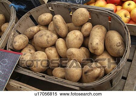Potatoes for sale at a market View Large Photo Image Stock Photography - Potatoes for sale at a market. Fotosearch