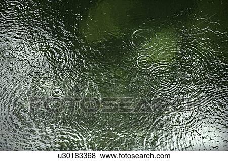 Rain on Yaku Island, Kagoshima Prefecture, Japan View Large Photo Image Stock Photo - Rain on Yaku Island, Kagoshima Prefecture, Japan. Fotosearch