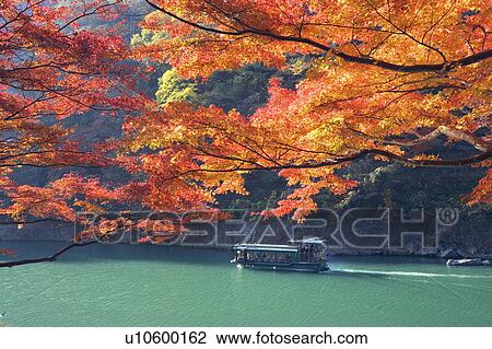 River during autumn in Arashiyama, Kyoto, Japan View Large Photo Image Stock Image - River during autumn in Arashiyama, Kyoto, Japan. Fotosearch