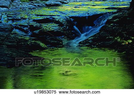 River flowing over algae covered rocks View Large Photo Image Stock Photography - River flowing over algae covered rocks. Fotosearch