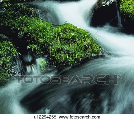 Stock Photography - River stream. Fotosearch