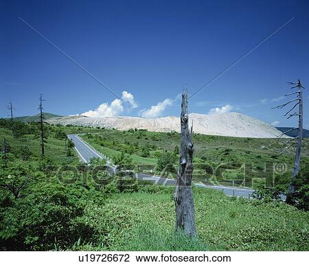 Rural road surrounded by tree trunks, Gumma Prefecture, Japan View Large Photo Image Stock Image - Rural road surrounded by tree trunks, Gumma Prefecture, Japan. Fotosearch