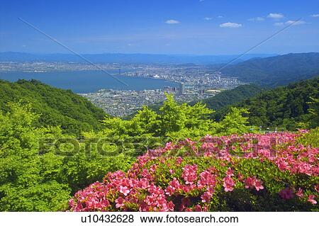 Stock Photo - Scenic view of a city and foliage. Fotosearch