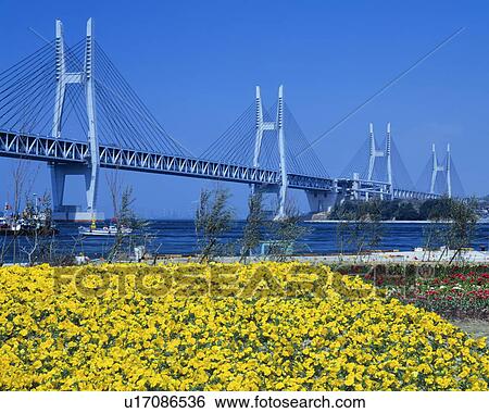 Seto Ohashi bridge, Sakaide, Kagawa Prefecture, Japan View Large Photo Image Stock Photograph - Seto Ohashi bridge, Sakaide, Kagawa Prefecture, Japan. Fotosearch