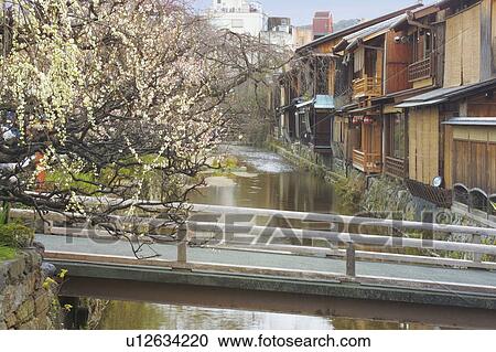 Shirakawa River running through Gion in Kyoto, Japan View Large Photo Image Stock Image - Shirakawa River running through Gion in Kyoto, Japan. Fotosearch