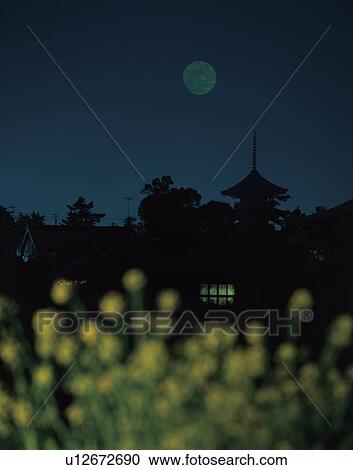 Silhouetted trees at night with rapeseed in foreground illuminated by moonlight, Kagawa Prefecture, Japan View Large Photo Image Stock Image - Silhouetted trees at night with rapeseed in foreground illuminated by moonlight, Kagawa Prefecture, Japan. Fotosearch