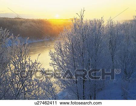 Snow-covered landscape in Hokkaido, Japan View Large Photo Image Stock Image - Snow-covered landscape in Hokkaido, Japan. Fotosearch
