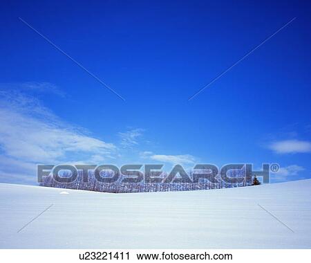 Stock Image - Snow-covered landscape under a blue sky. Fotosearch