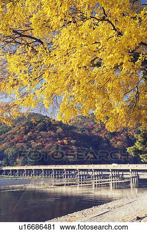 Togetsu-kyo during autumn, Kyoto, Japan View Large Photo Image Stock Image - Togetsu-kyo during autumn, Kyoto, Japan. Fotosearch