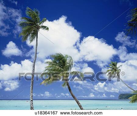 Tumon Beach, Island of Guam, USA View Large Photo Image Stock Photo - Tumon Beach, Island of Guam, USA. Fotosearch