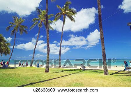Stock Photo - Waikiki Beach, Oahu, Hawaii. Fotosearch