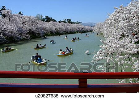 West canal of the Hirosaki, Aomori Prefecture, Japan View Large Photo Image Stock Photo - West canal of the Hirosaki, Aomori Prefecture, Japan. Fotosearch