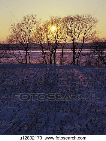 Winter sunset, Lake Shirarutoro, Kushiro Shitsugen National Park, Hokkaido, Japan View Large Photo Image Stock Image - Winter sunset, Lake Shirarutoro, Kushiro Shitsugen National Park, Hokkaido, Japan. Fotosearch