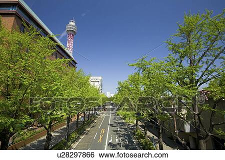 Yamashita Park passage, Yokohama, Kanagawa Prefecture, Japan View Large Photo Image Stock Photograph - Yamashita Park passage, Yokohama, Kanagawa Prefecture, Japan. Fotosearch